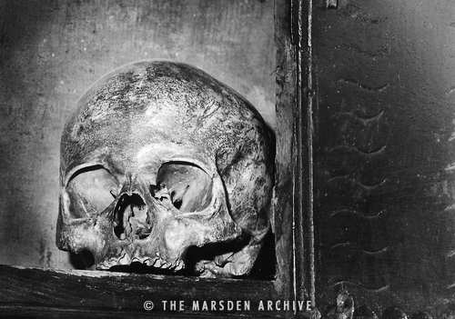 Skull, Chilton Cantello, Somerset, England (MA-O-319)