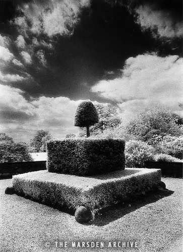Topiary, Arley Hall, Cheshire, England (MA-TO-297)