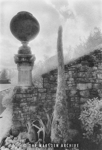 Cactus & Urn, The Italian Garden, Hever Castle, Kent, England (MA-GN-010)