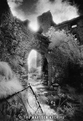 Arch, Ballynalackan Castle, County Clare, Ireland (MA-IR-707)