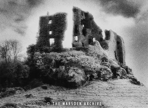 Carriogunnell Castle, County Limerick, Ireland (MA-C-606)