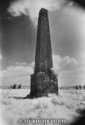 Obelisk, Killua Castle, Clonmellon, County Westmeath, Ireland (MA-FO-082)