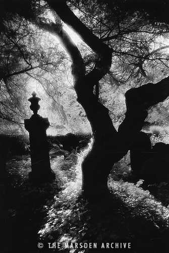 Graveyard, Nevern, Pembrokeshire, Wales (MA-G-966)