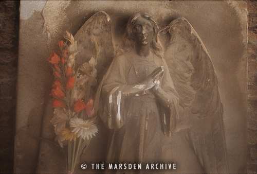 Sculpture of an angel in the cloisters of the church of San Michele in Isola, Venice, Italy (MA-VE-145)