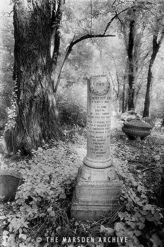 Tombstones in the Jewish Cemetery on the Lido di Venezia, Venice, Italy (MA-VE-040)