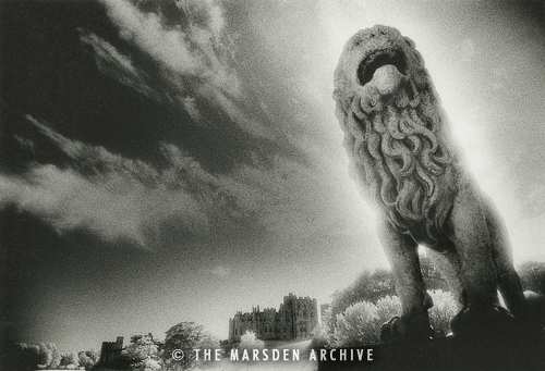 Lion Statue, Alnwick Castle, Alnwick, Northumberland, England (MA-C-637)